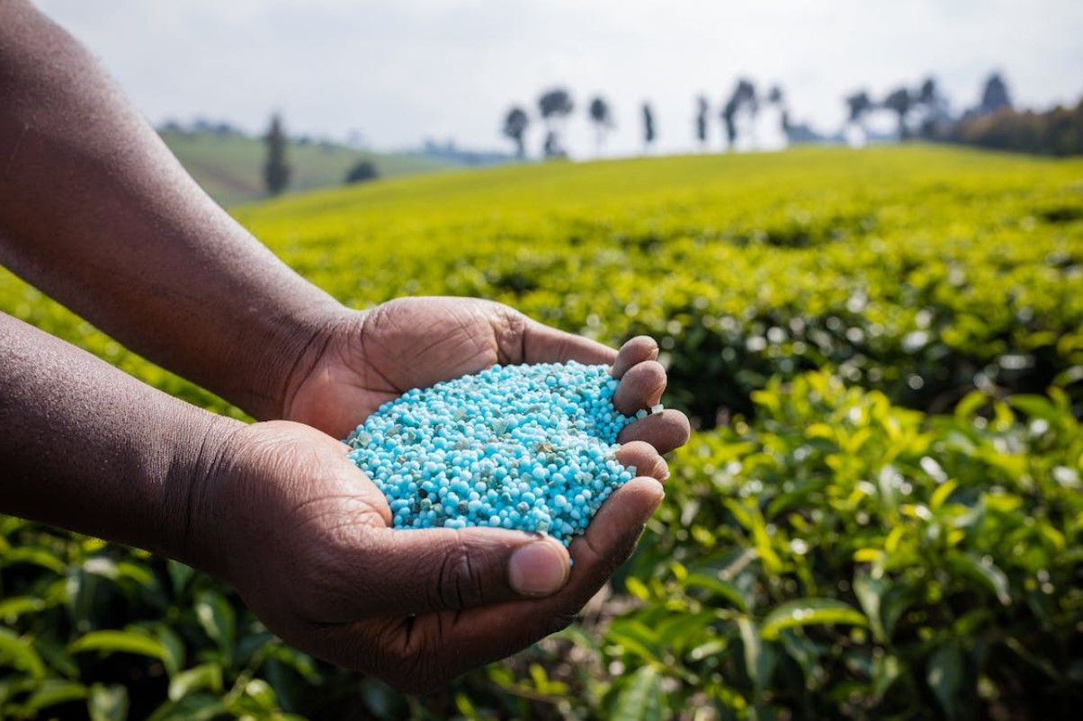 Hands holding fertilizer pellets over green agricultural field
